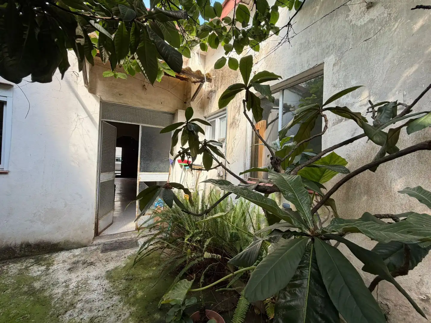 Vista exterior de Casa o chalet en venta en Gandia con Jardín privado