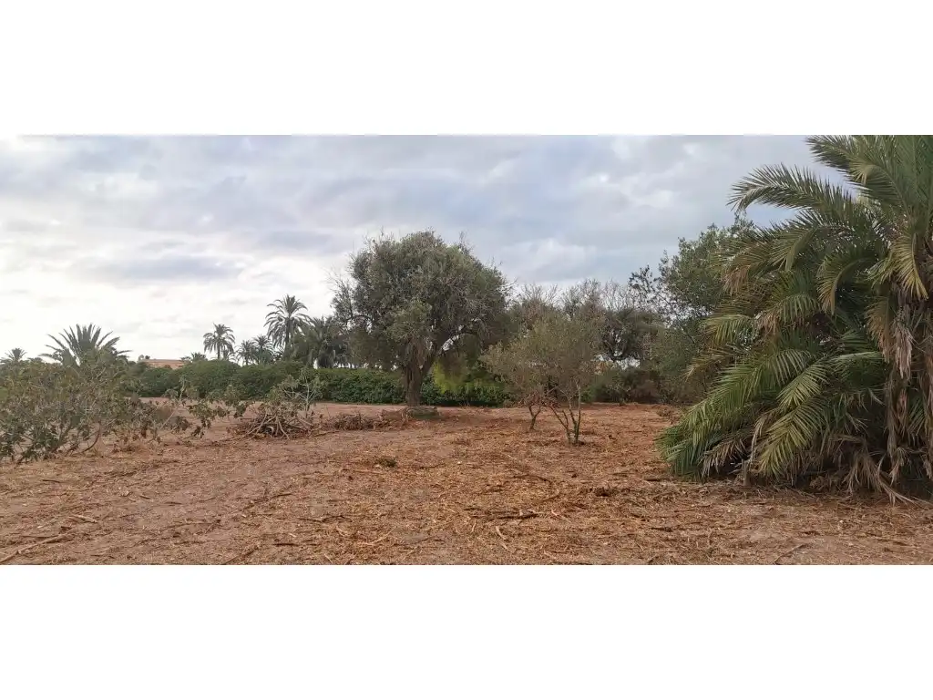 Terreno residencial en venta en La Marina, imagen 6