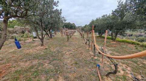 Foto 4 de Residencial en venda a 7, Zona Industrial, Granollers