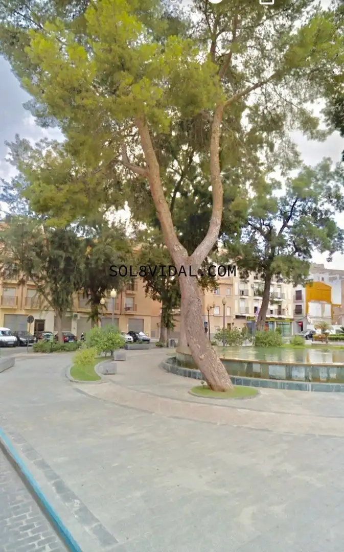 Exterior view of Flat for rent in Orihuela  with Furnished and Balcony