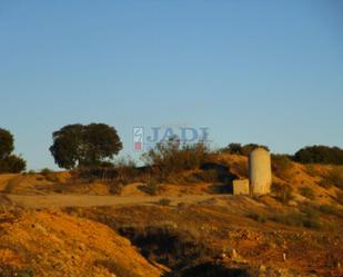 Terreny industrial en venda en Valdepeñas