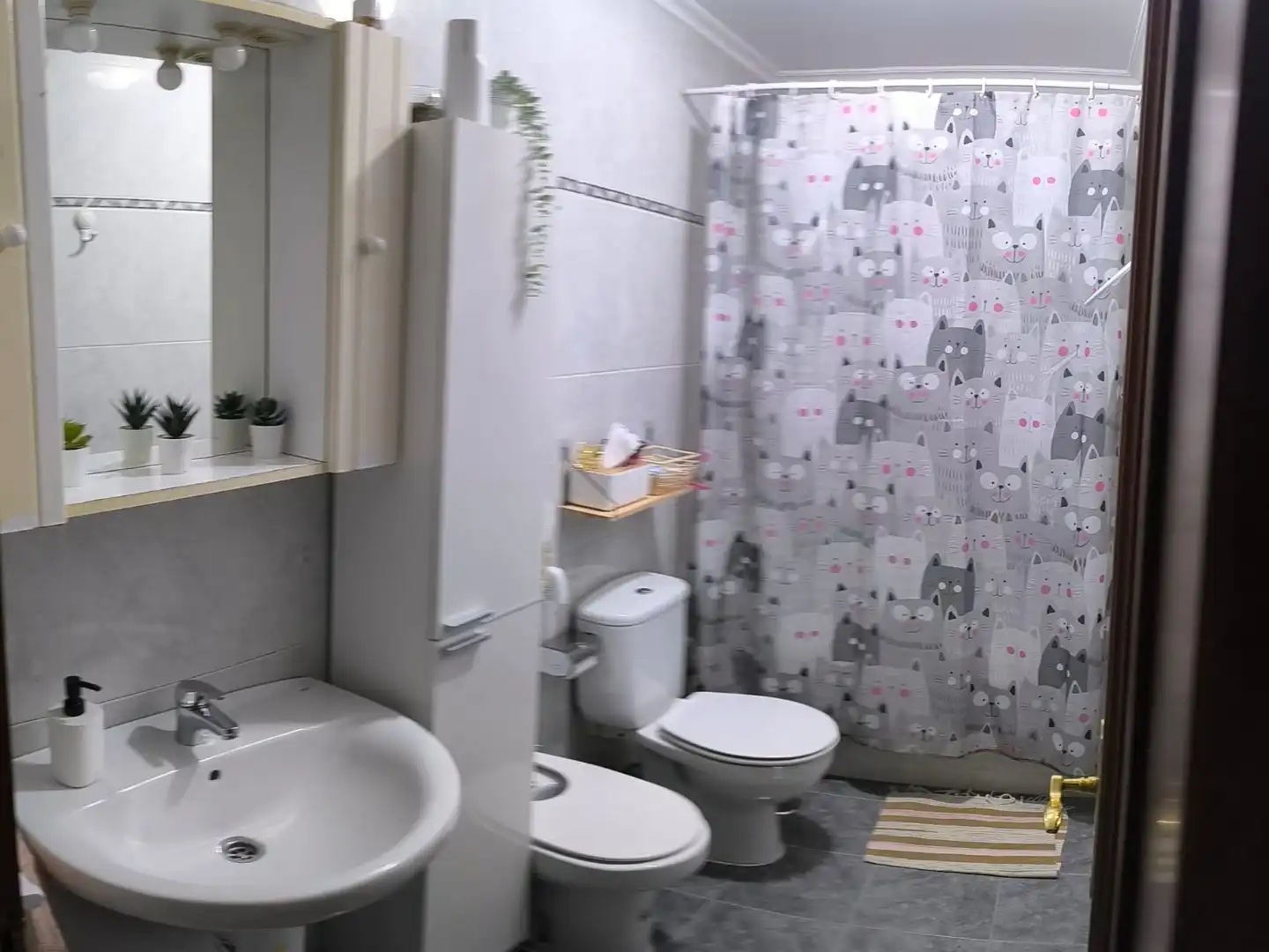 Baño de Piso de alquiler en Celanova, Ourense