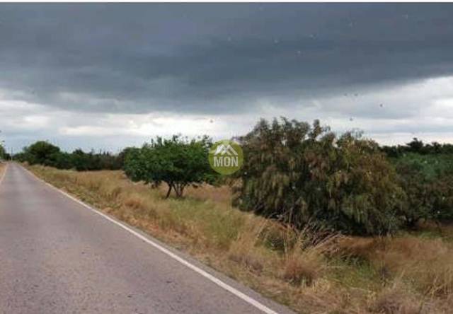 Terreno en Venta en Pau Lledó