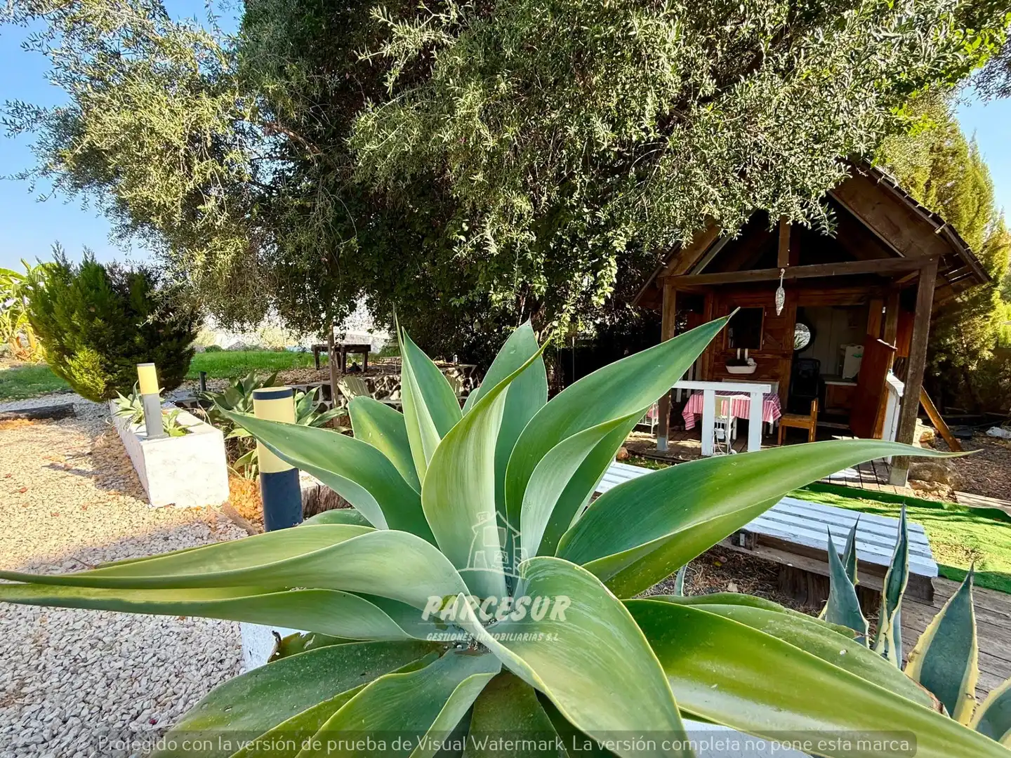 Casa amb piscina en venda a Almodóvar del Río, imagen 49