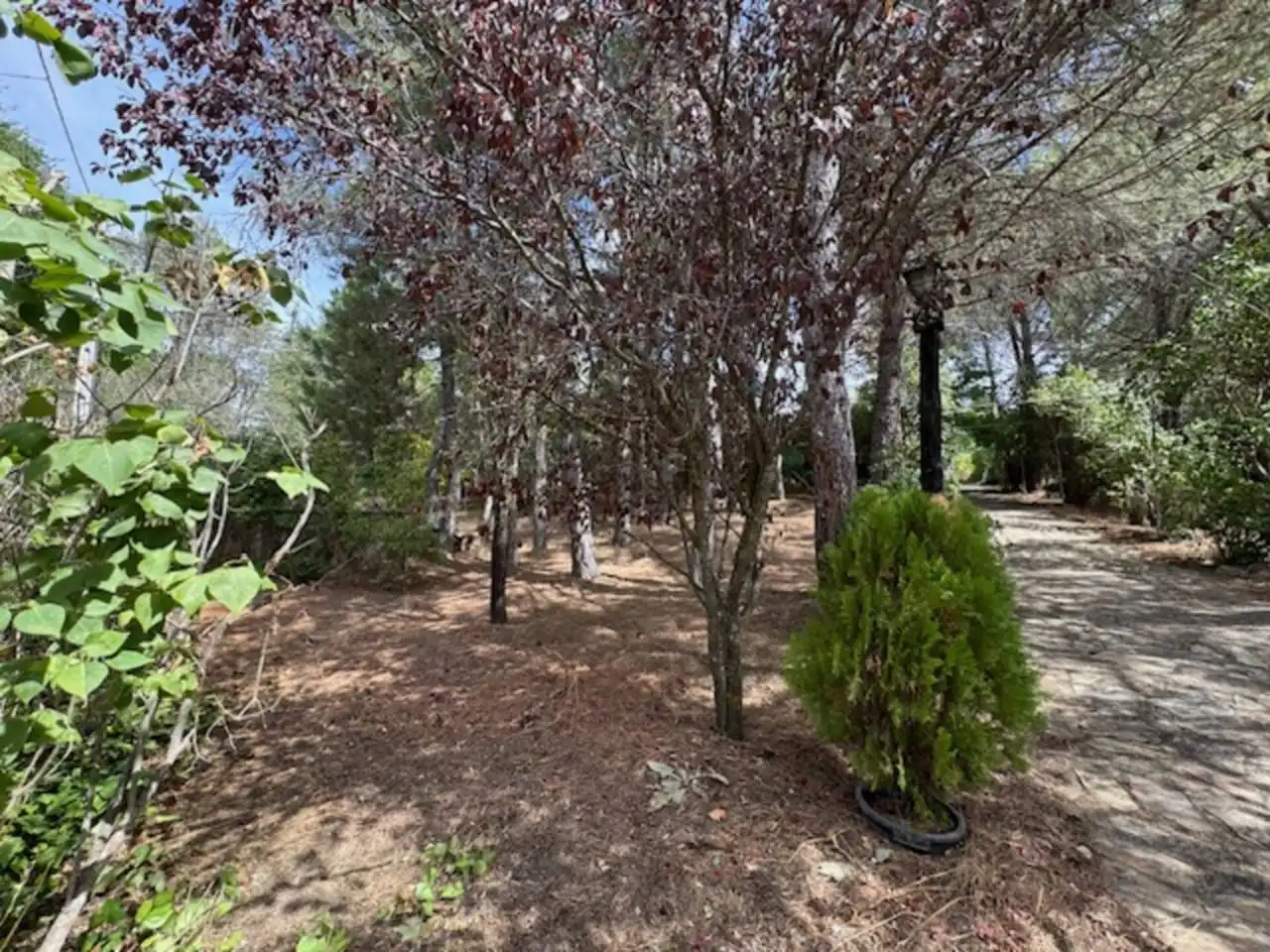 Casa o chalet en venta en Villavieja del Lozoya con Calefacción, Terraza y Piscina