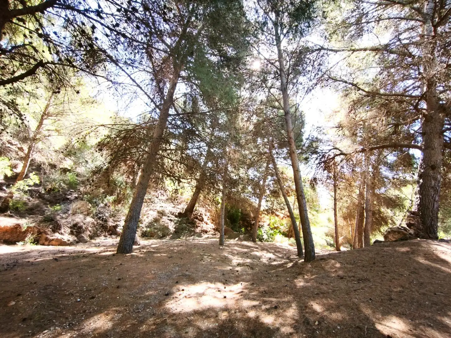 Terrains et parcelles à vendre à MORATA, imagen 5