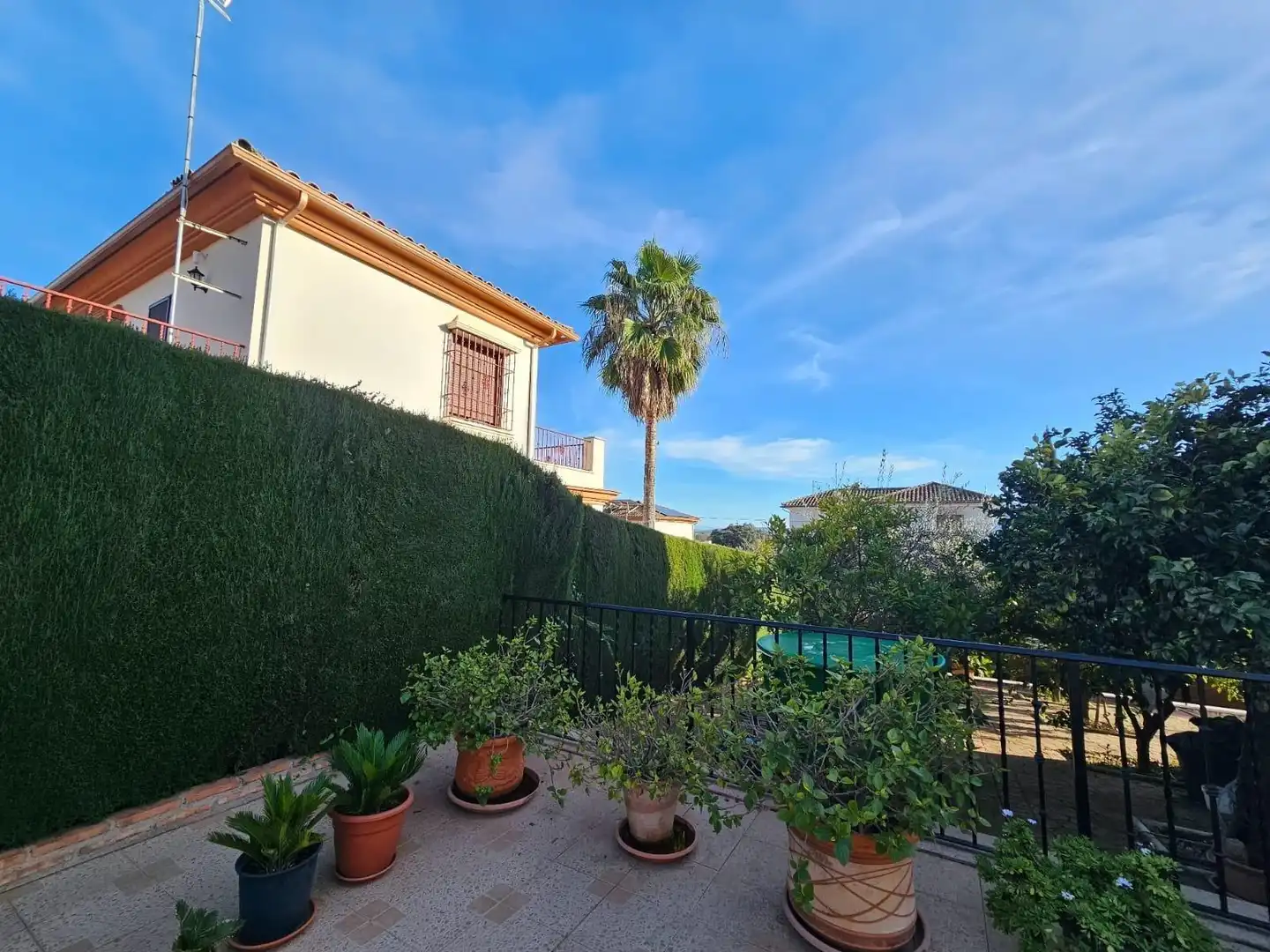 Jardí de Casa o xalet en venda en Córdoba amb Aire condicionat, Calefacció i Jardí privat