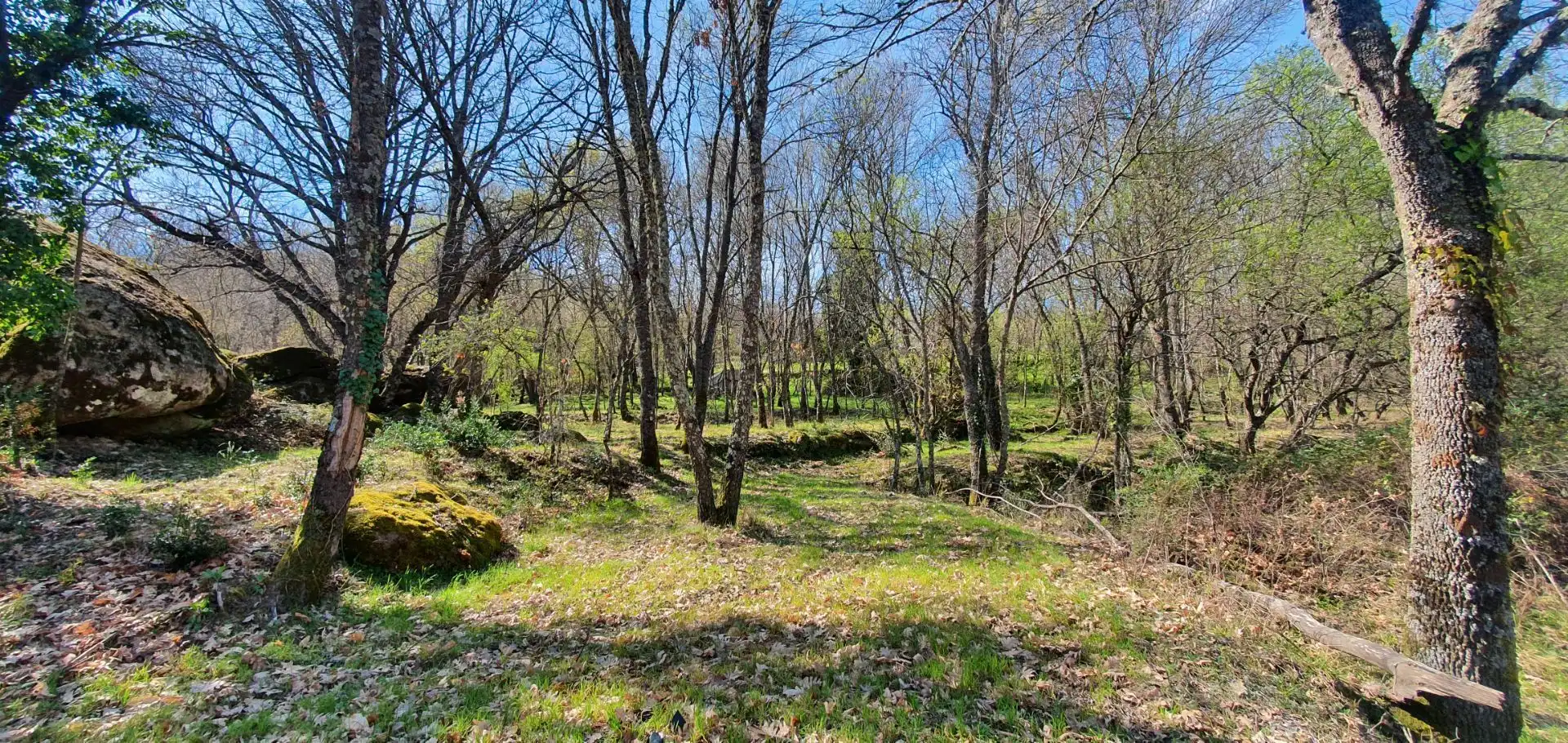 Terreni e lotti in vendita a Jarandilla de la Vera, imagen 19