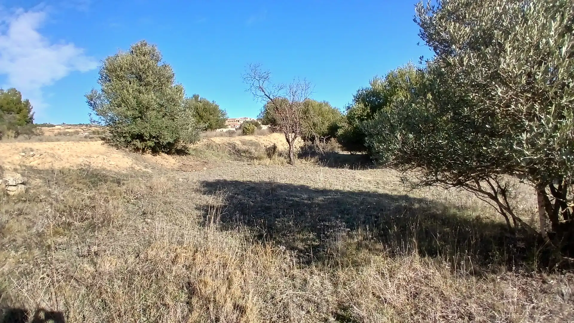 Terreni e lotti in vendita a Camino Fuente 5, imagen 13