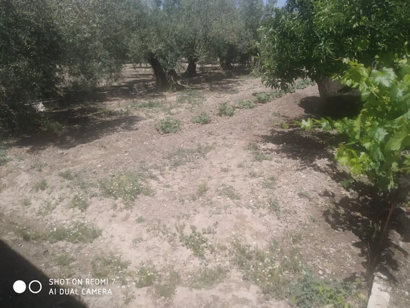 Chalet en venta en Lugar Cortijo Salomon, imagen 9
