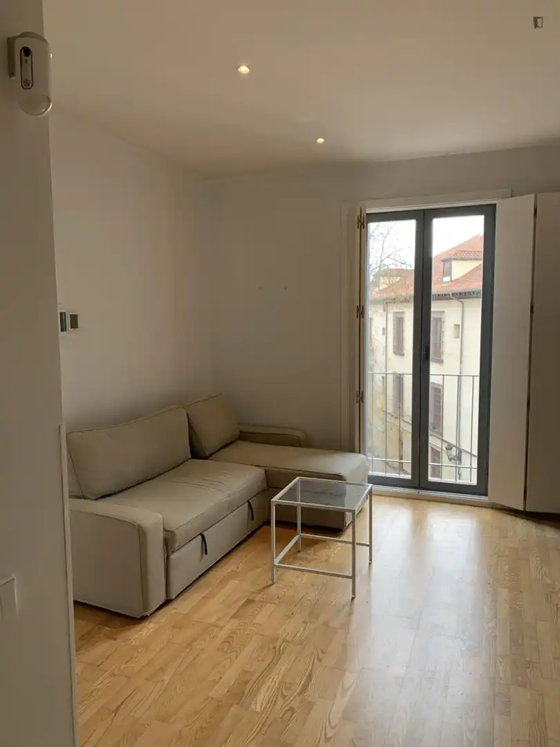 Sala de estar de Apartamento de alquiler en Centro