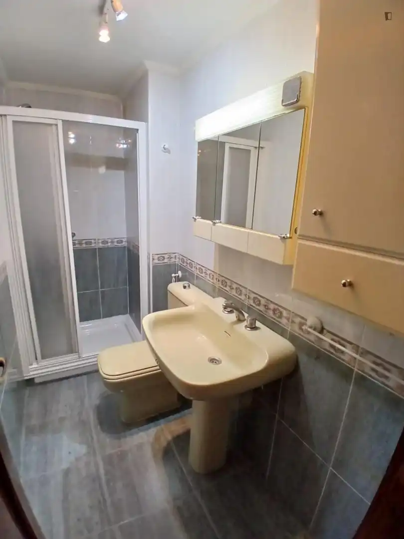 Bany de Apartament per a compartir en Valladolid amb Moblat, Forn i Rentadora