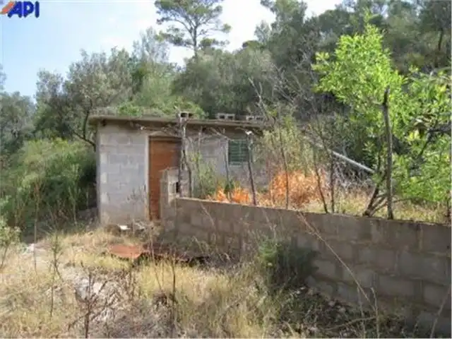 Terreny rústic en venda a Bunyola, imagen 4