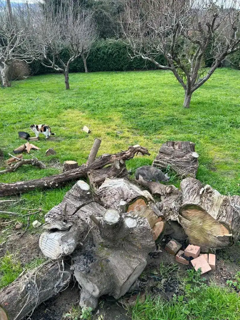 Garten von Loft zur Miete in Cambre  mit Klimaanlage, Privatgarten und Abstellraum