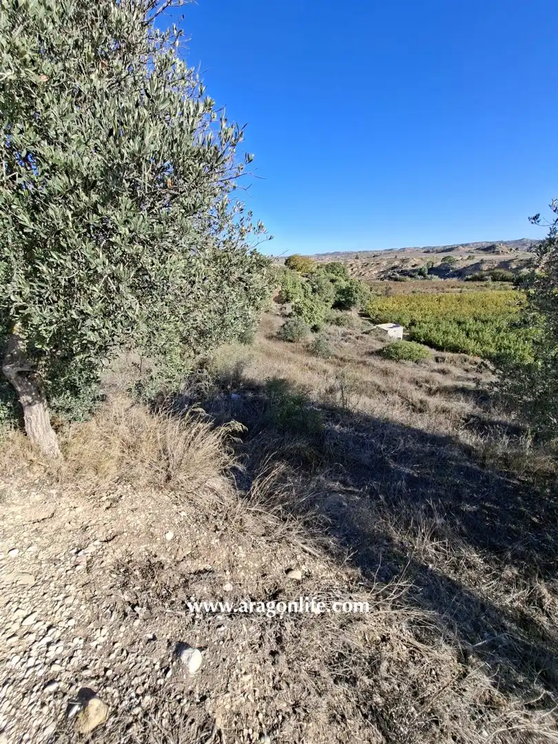Finca rústica en venta en Caspe