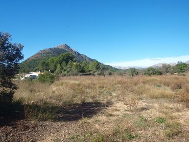 Terrenys i solars en venda a Murla