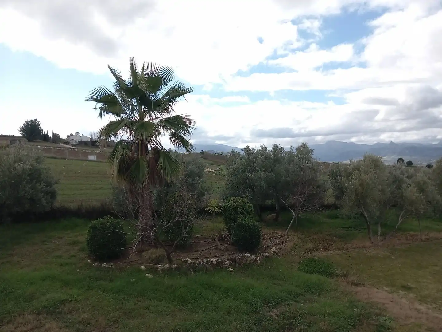 Finca rústica en venta en Arriate
