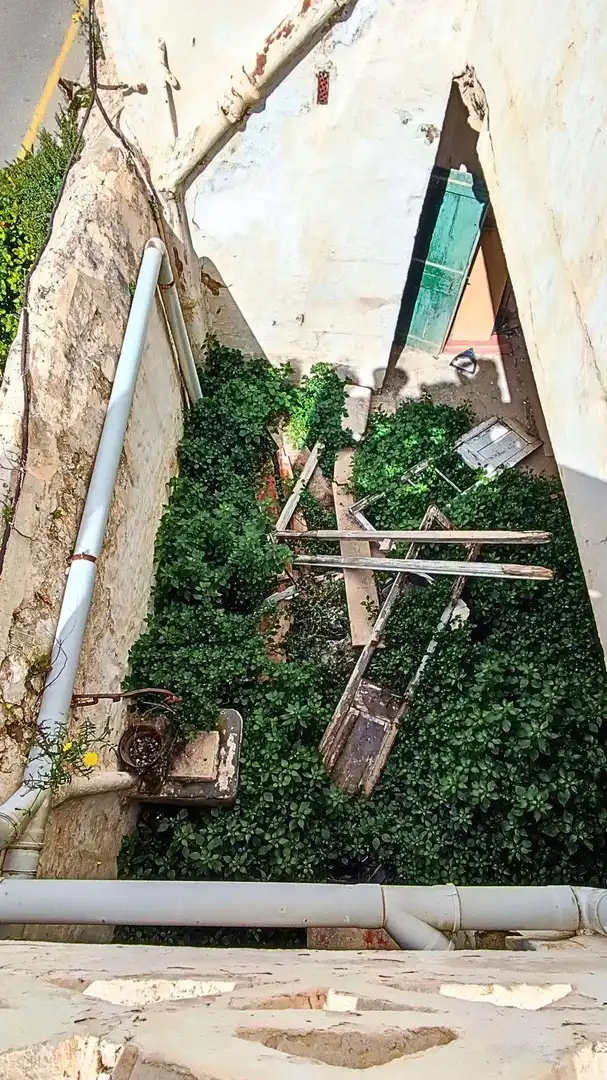 Jardí de Finca rústica en venda en Maó - Mahón amb Jardí privat, Terrassa i Traster