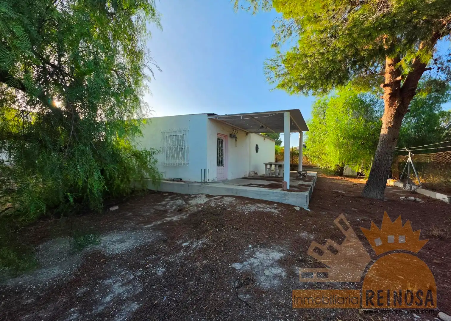 Vista exterior de Finca rústica en venta en Molina de Segura