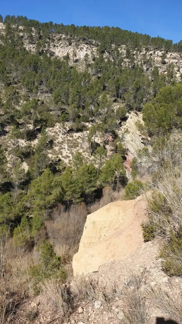 Terrain résidentiel à vendre à Requena, imagen 23