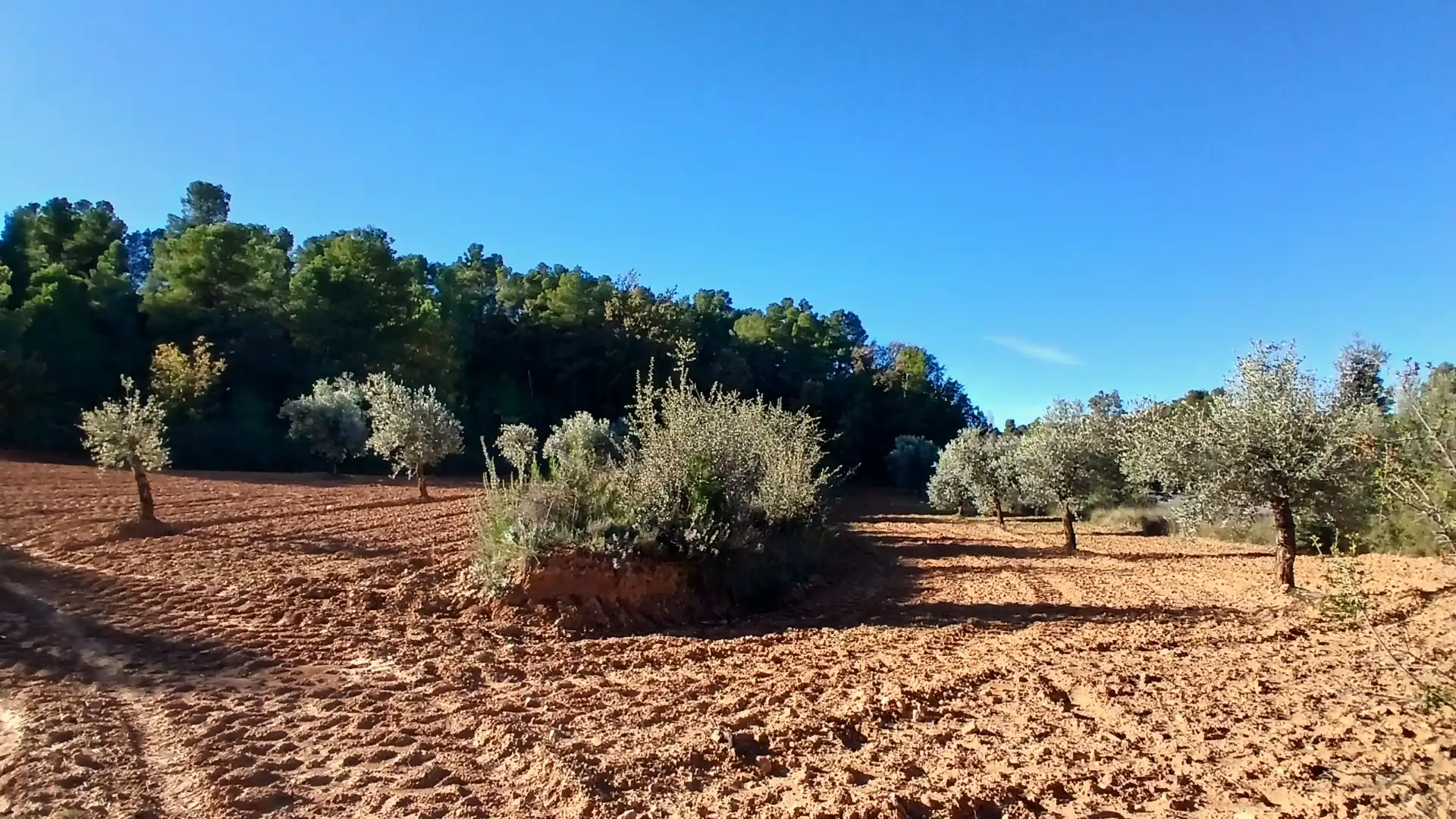 Terreno rustico in vendita a N/A, imagen 8