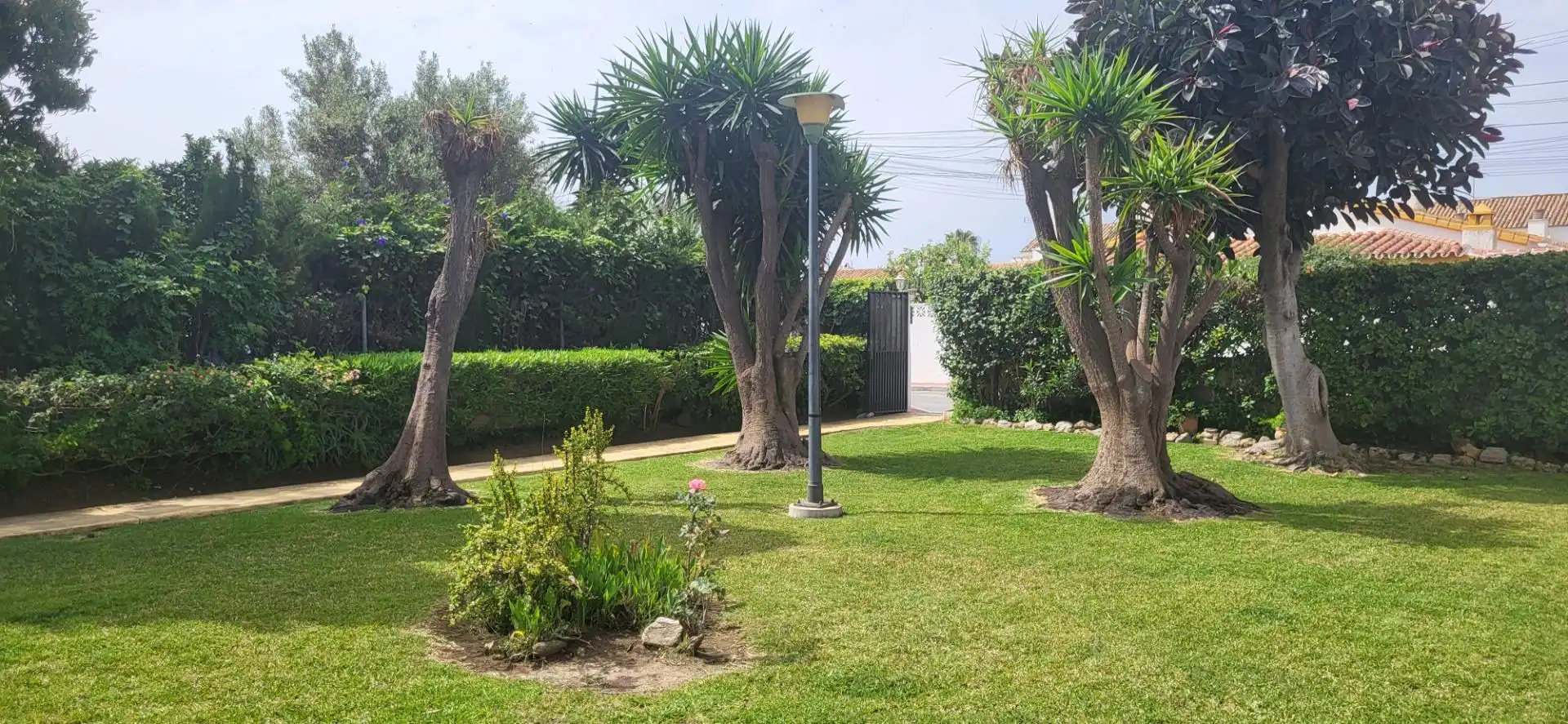 Jardín de Casa adosada en venta en Marbella con Piscina comunitaria
