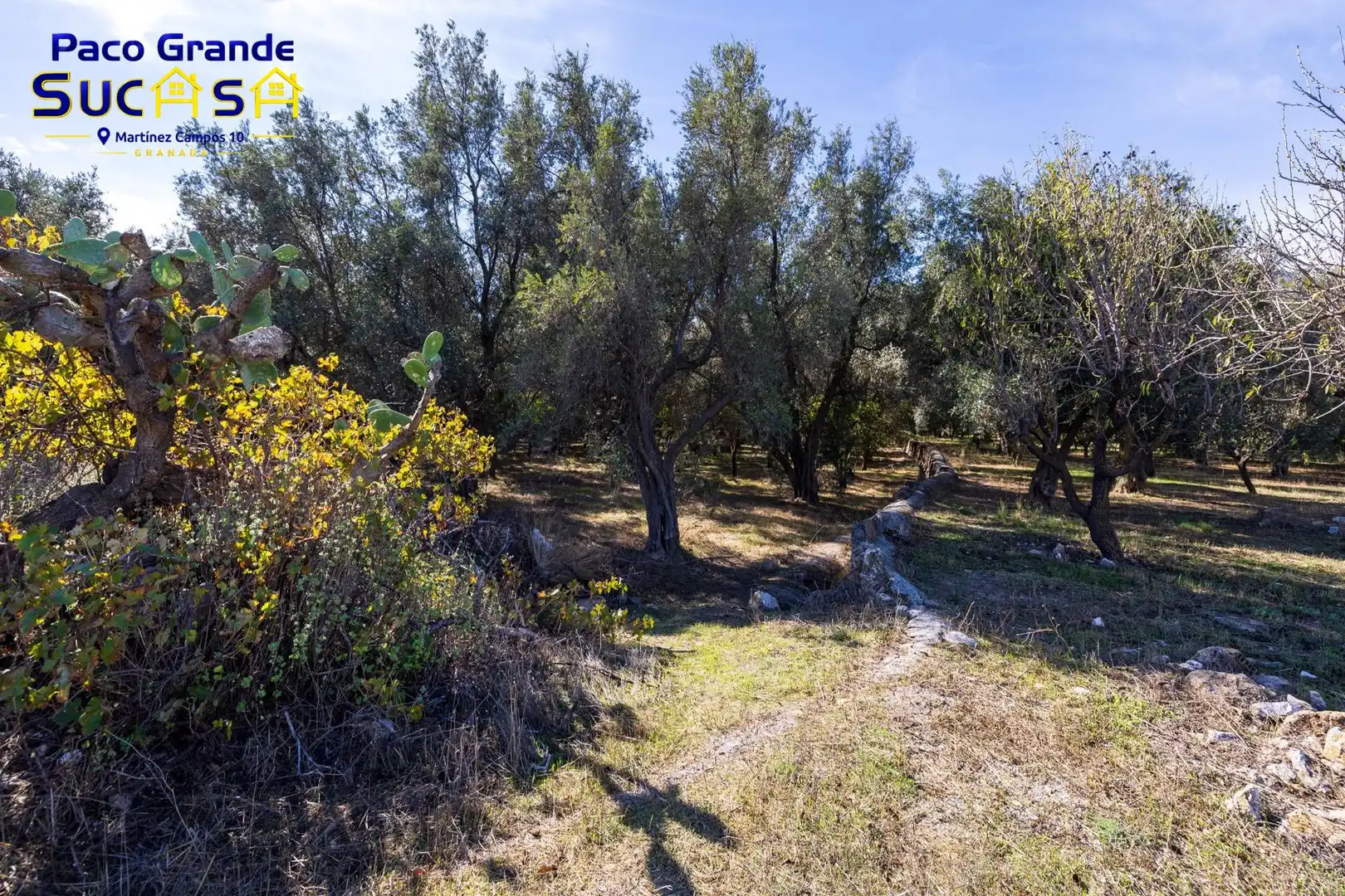 Terreno rustico in vendita a PINOS DEL VALLE