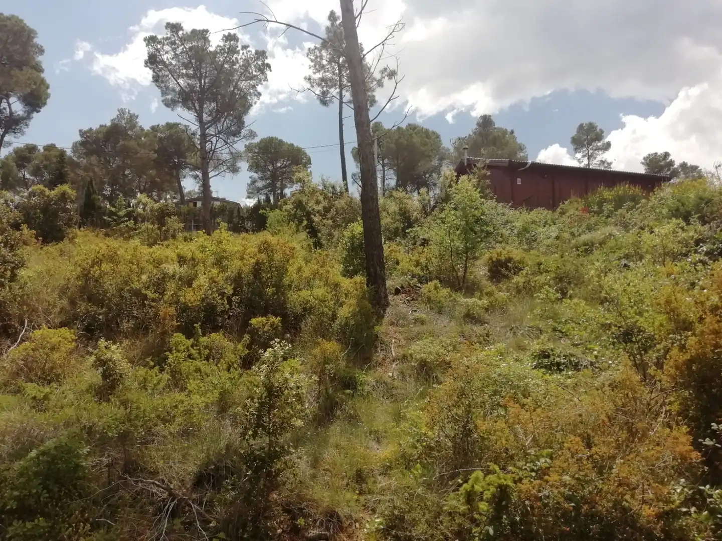 Residential land for sale in Mediona, imagen 18