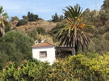 Casa rustica con giardino in vendita a Punta Plata
