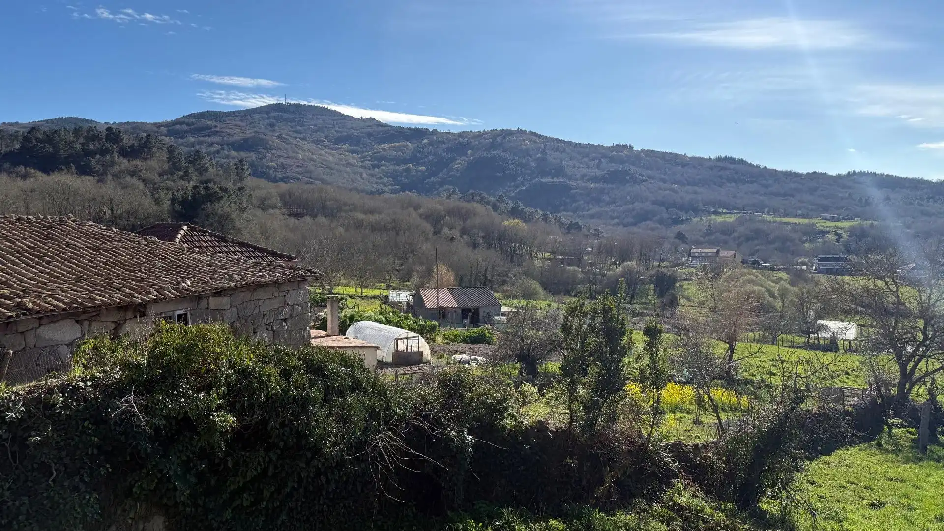Vista exterior de Finca rústica en venta en Allariz con Jardín privado, Terraza y Amueblado