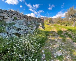 Land for sale in Valverde de la Vera