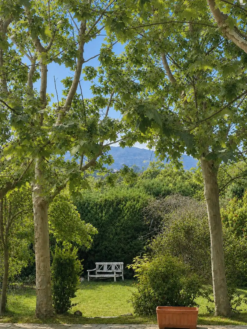 Garden of Houses for sale in Madrid  with Heating, Private garden and Parquet flooring