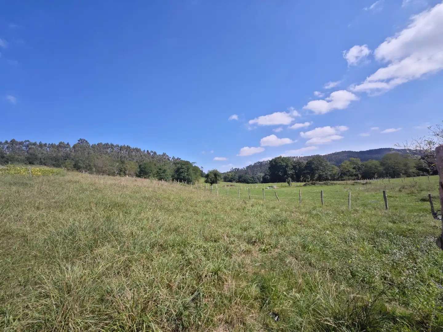 Residential land for sale in Mazcuerras, imagen 8