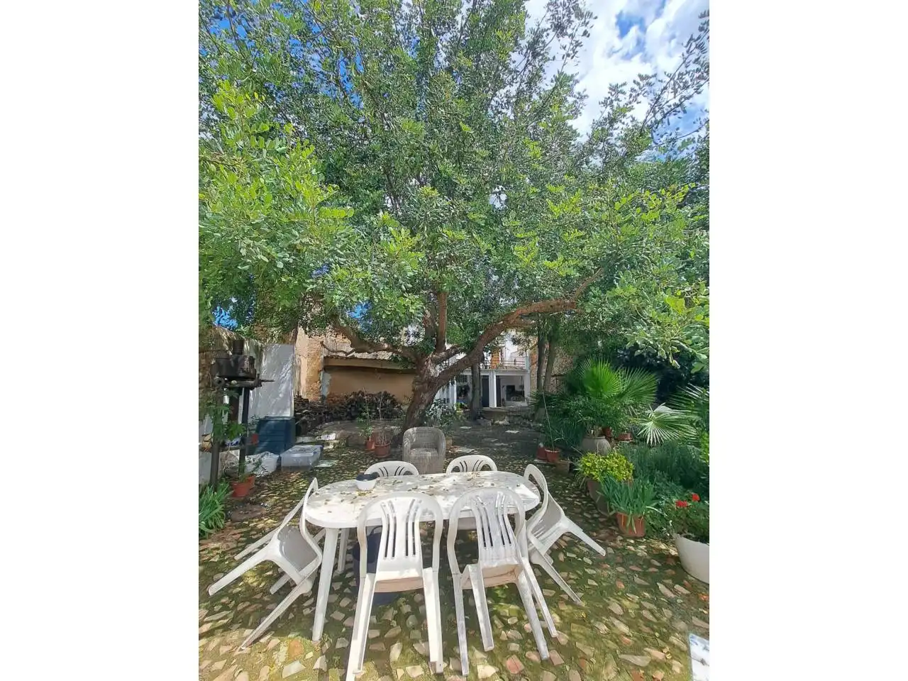 Jardín de Casa o chalet en venta en Pinet con Jardín privado