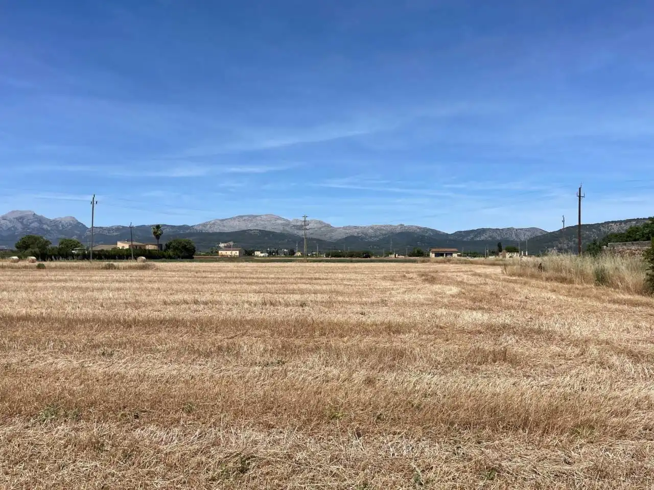 Terreny rústic en venda a Sa Pobla, imagen 11