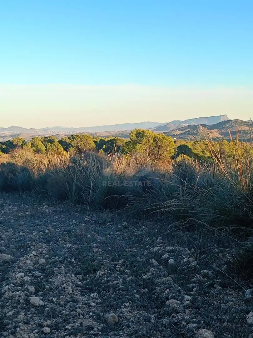 Terreno en venta en Lorca