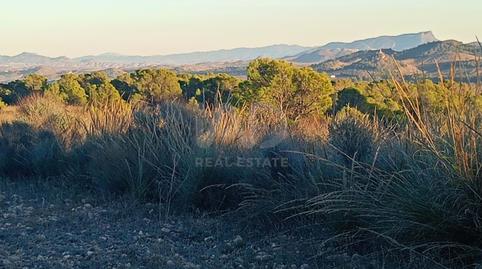 Photo 2 of Land for sale in Fontanares, Lorca