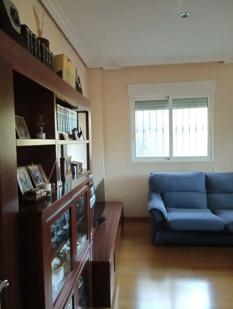 Living room of Houses for sale in Murcia  with Private garden and Terrace