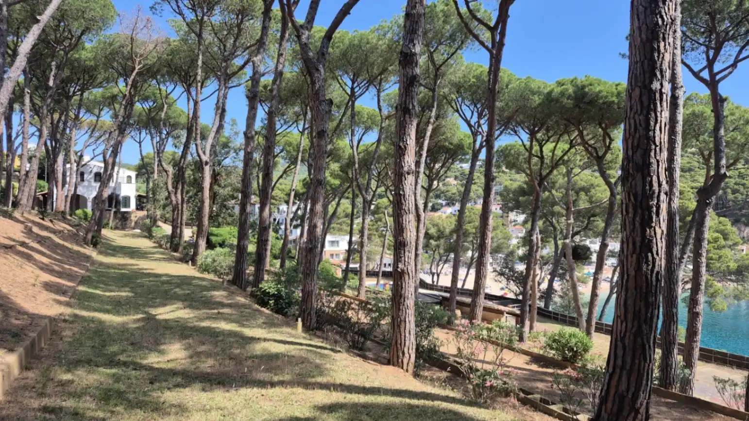 Jardí de Casa o xalet en venda en Palafrugell