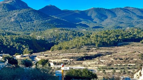 Fincas rústicas de 138.839 m2 en Tibi con vivienda y gran potencial de desarrollo., immagine 5