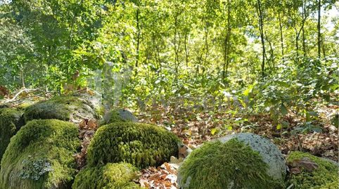 Foto 5 de Residencial en venta en Fornelos de Montes, Pontevedra