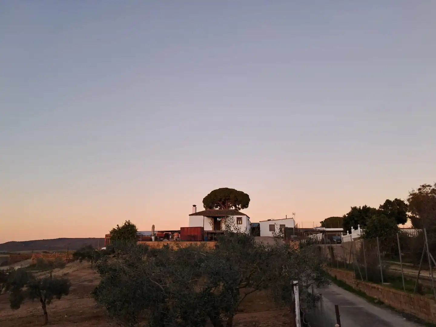Casa rústica amb terrassa en venda a Arcos de la Frontera, imagen 2