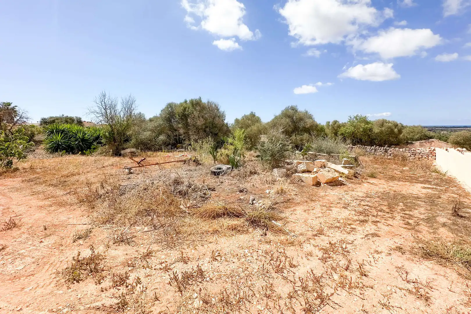 Wohnbaugrundstück zum Verkauf in Ses Salines Poble, imagen 4