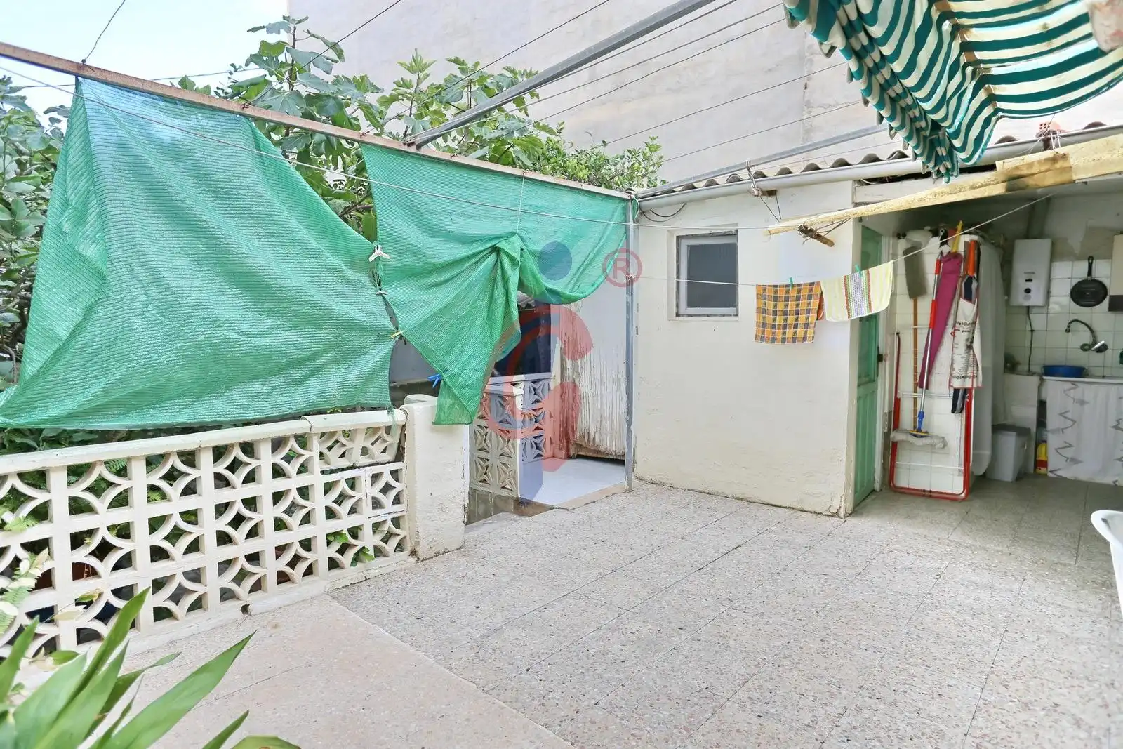 Vista exterior de Casa o chalet en venta en Guardamar del Segura con Jardín privado
