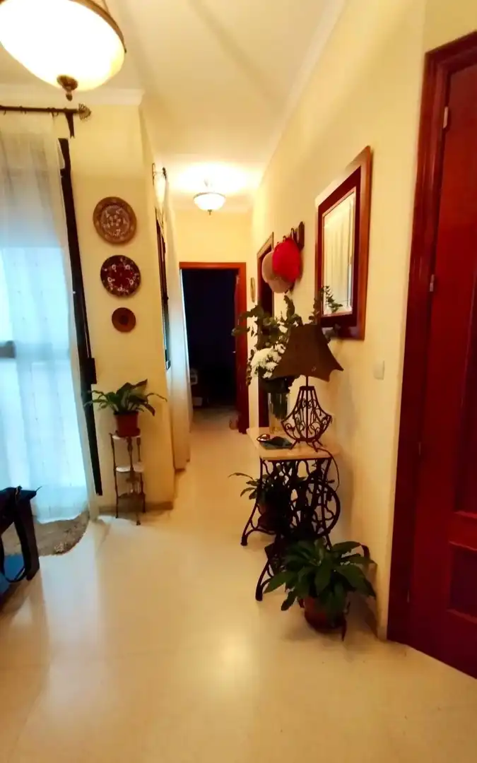 Dúplex con terraza en venta en Centro, imagen 3