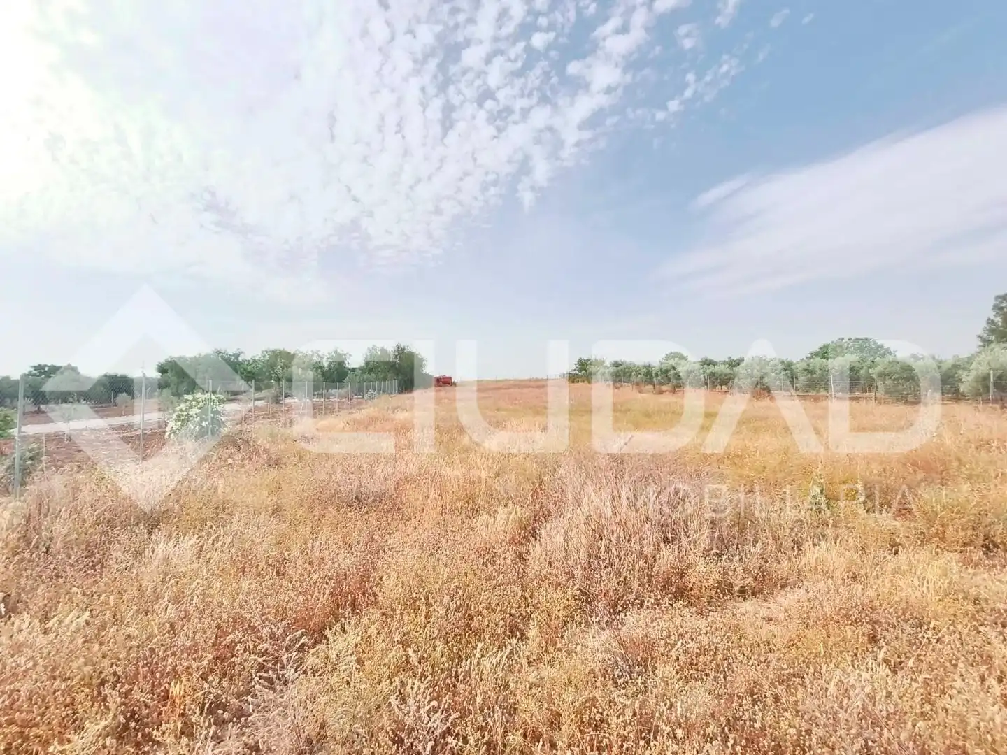Finca rústica en venta en El Cuervo de Sevilla