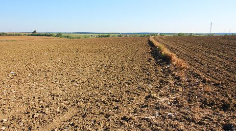 Foto 5 de Terreno en venta en La Florida - Vistalegre, Huelva Capital