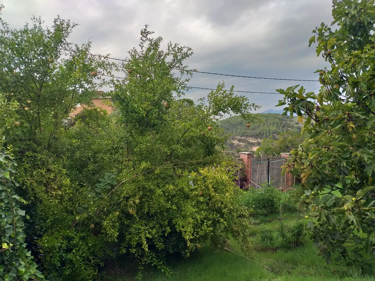 Wohnbaugrundstück zum Verkauf in Montjuic 39, imagen 14