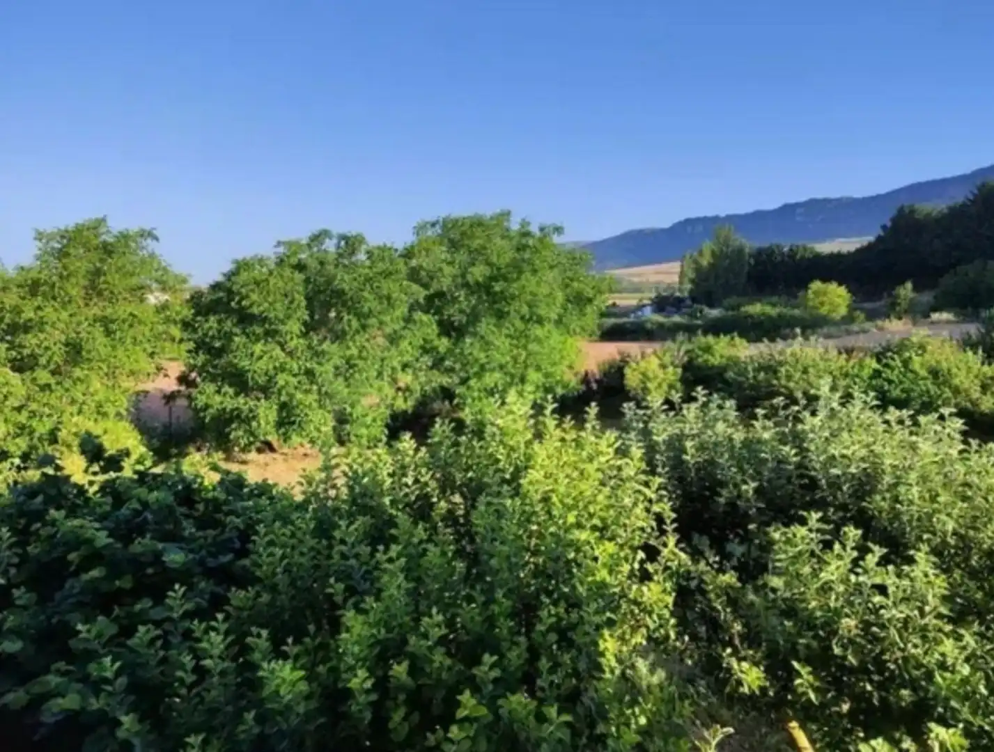 Finca rústica en venda en Quintanaélez amb Calefacció i Terrassa