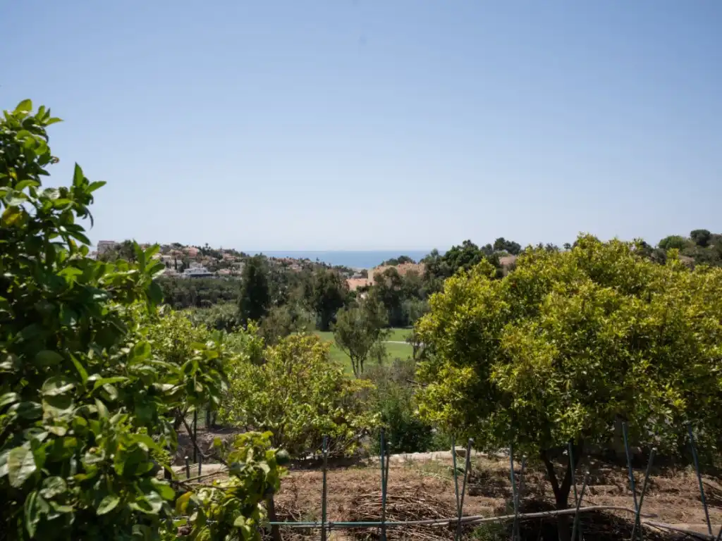 Garden of Houses for sale in Benalmádena